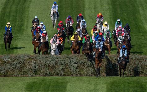 aintree results today